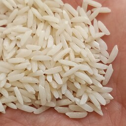 برنج هاشمی عطری کشت دوم فریدونکنار2بارالک