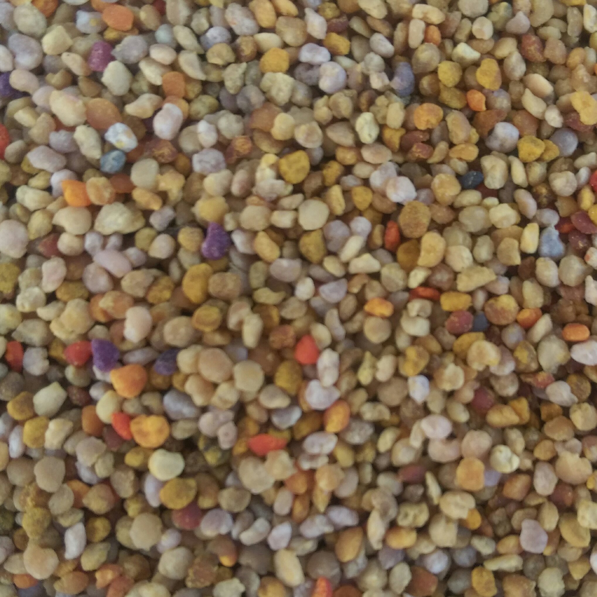 گرده گل کوهستانی کردستان عالی(300گرمی)