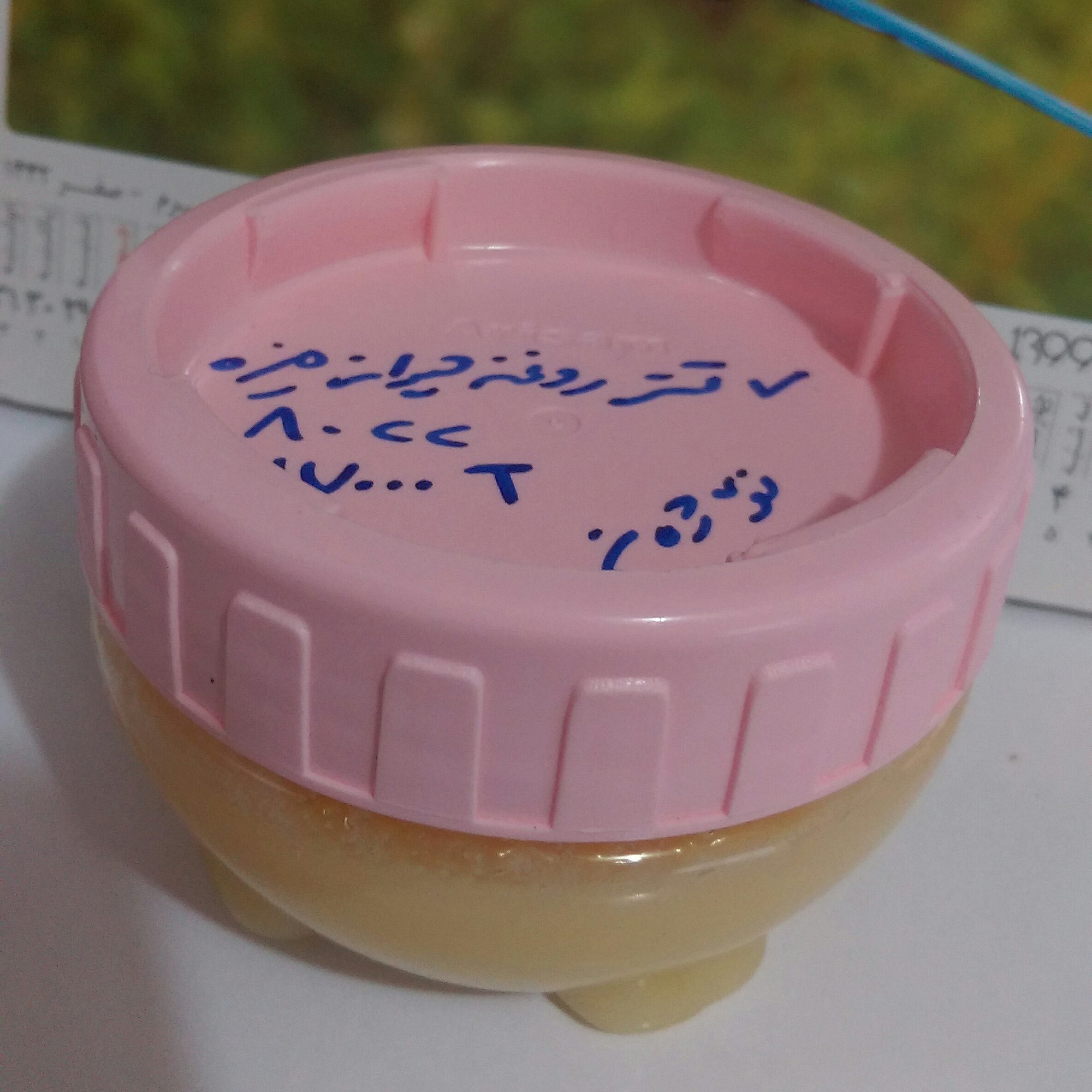 تستر روغن حیوانی سنتی یک نوع