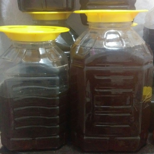 عسل مناطق وحشی کوردستان(8کیلو)
