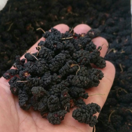 توت سیاه خشک شده کوهستانی اورامانات(400گرم)