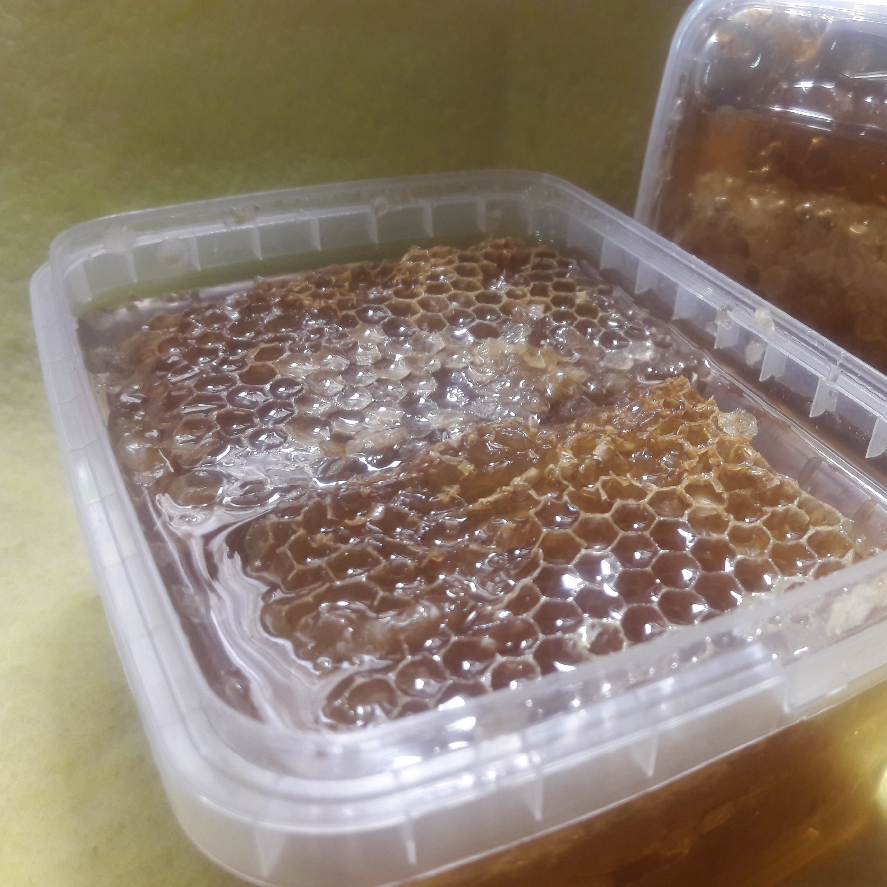 عسل با موم گون انگبین