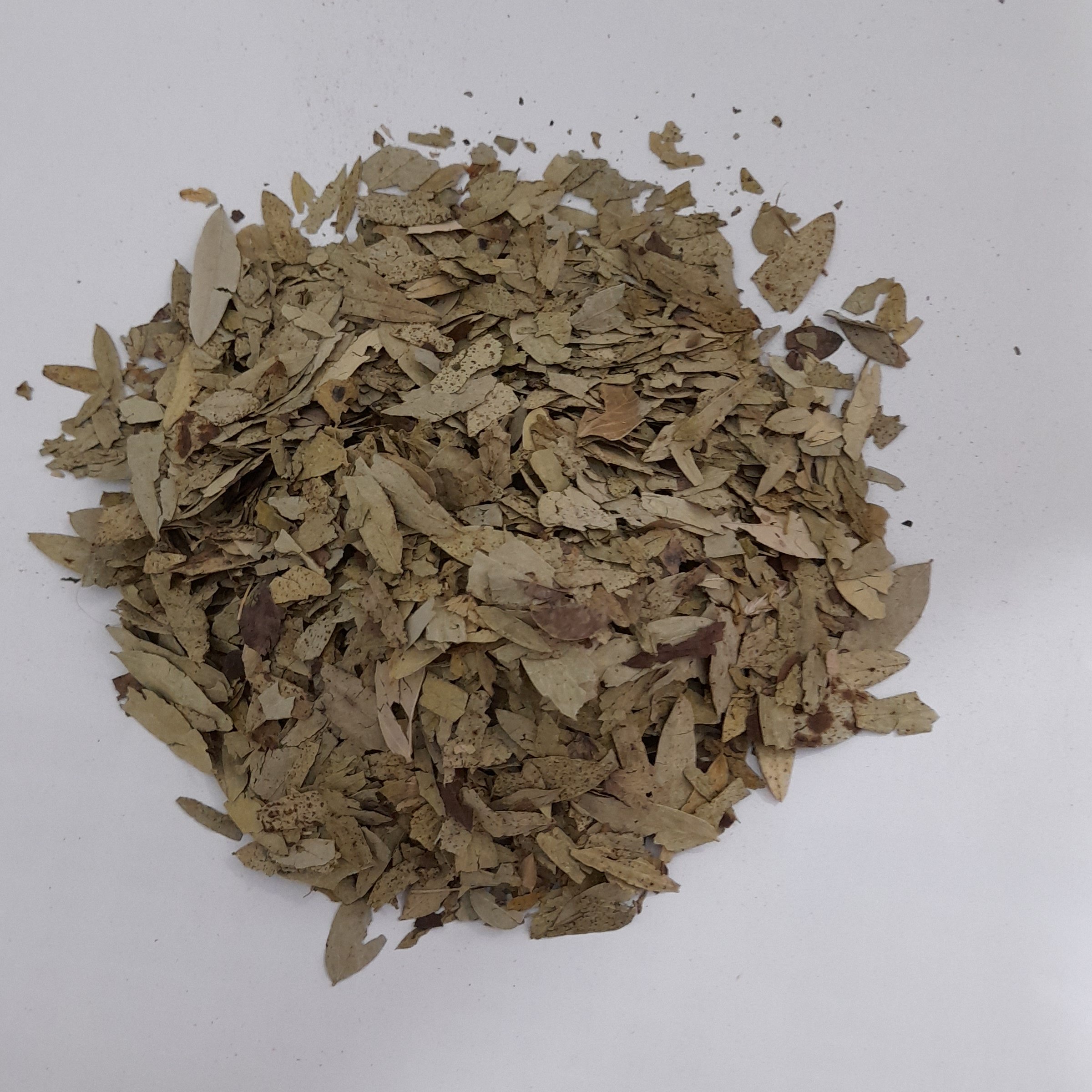 برگ سنا مکی