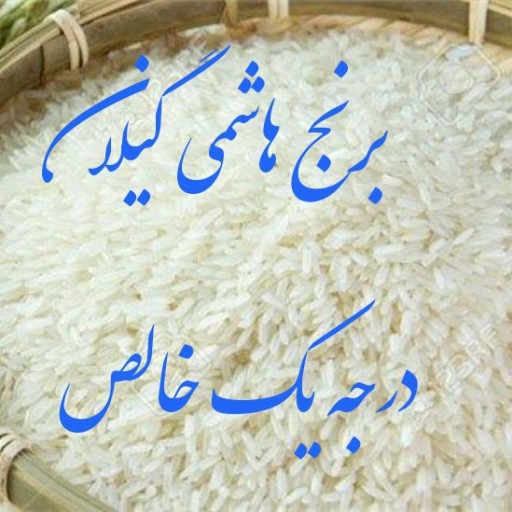 برنج هاشمی گیلان خالص تازه برداشت 1400