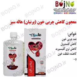 معجون کاهش چربی خون (پرنیان) هاله سبز