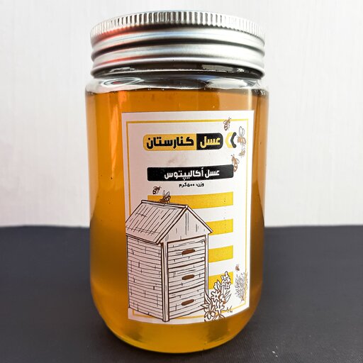 عسل اکالیپتوس کاملا طبیعی و خام  با برند کنارستان( 500 گرم خالص)