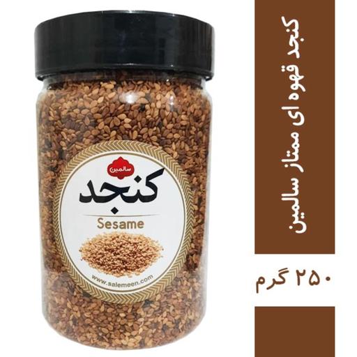 کنجد قهوه ای سالمین - 250 گرم 