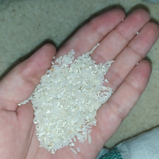 برنج نیم سرلاشه طارم احمدی