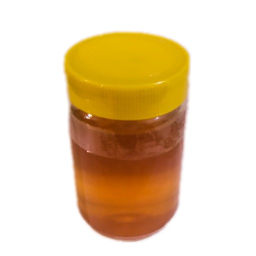 عسل گون طبیعی 1 کیلوگرمی