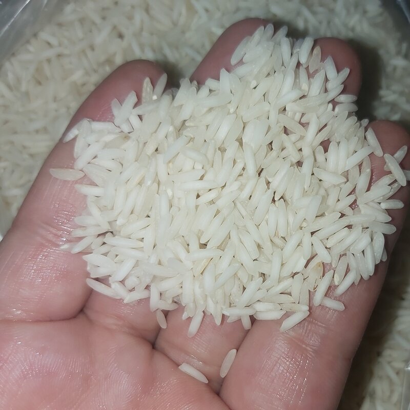 برنج فجر  تمام دانه کشت اول ارسال رایگان