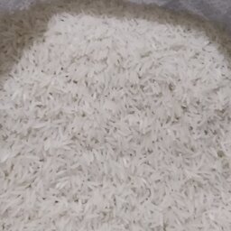 برنج  فجر سورتینگ شده