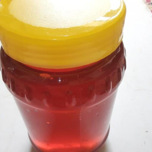عسل  کندو گلی کوههای چهارمحال بختیاری (500گرمی)این عسل خالص وطبیعی