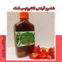 شامپو گیاهی اکالیپتوس فدک