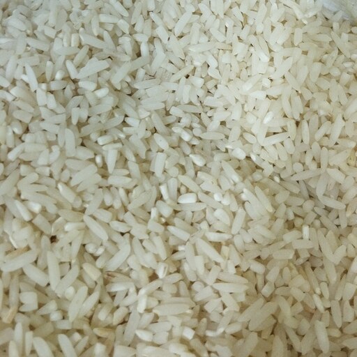 برنج سرلاشه معطر فریدونکار فروش استثنایی با قیمت ویژه