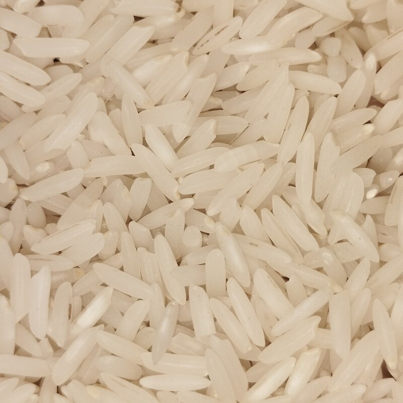 برنج شیرودی فروش ویژه با قیمت استثنایی