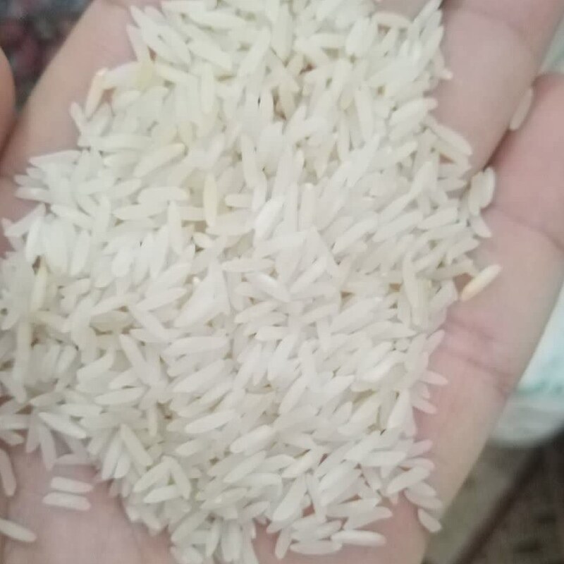 برنج هاشمی مجلسی