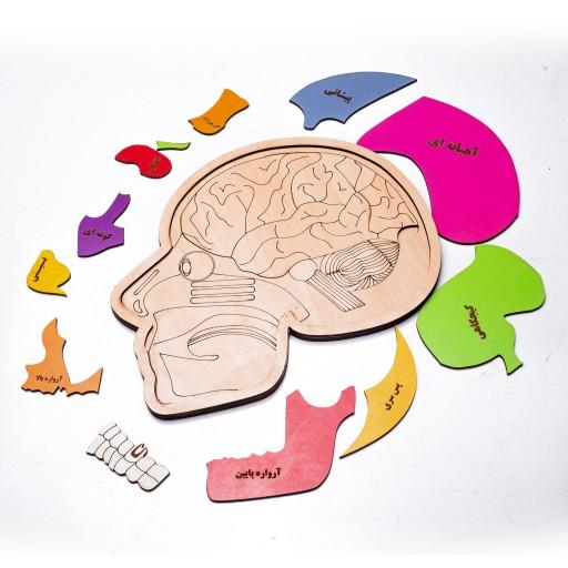 بازی فکری پازل چوبی چند لایه مغز با کیفیت مقاوم و محکم برای رشد فکری و یادگیری کودکان
