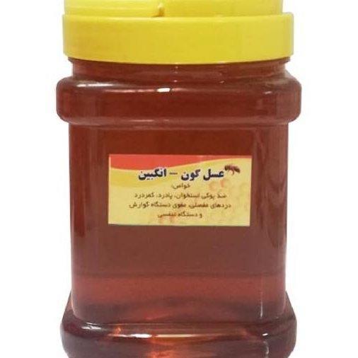 عسل ارگانیک کوهی طبیعی (1 کیلو) کیفیت اعلا محصول دامنه های ارتفاعات شمال خراسان