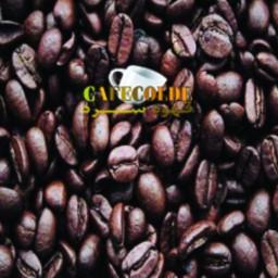 قهوه ویتنام ربوستا sc18
 500 گرم قهوه سرد