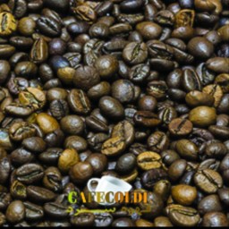 قهوه کلمبیا سوپریمو S19 عربیکا 500 گرم قهوه سرد