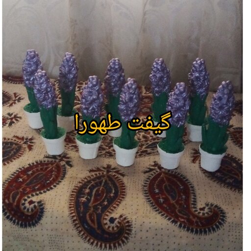 گل سنبل عید