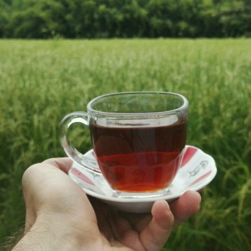 چای شکسته ممتاز بهاره (250 گرم)
