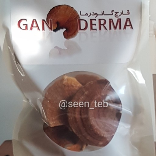 قارچ کامل گانودرما