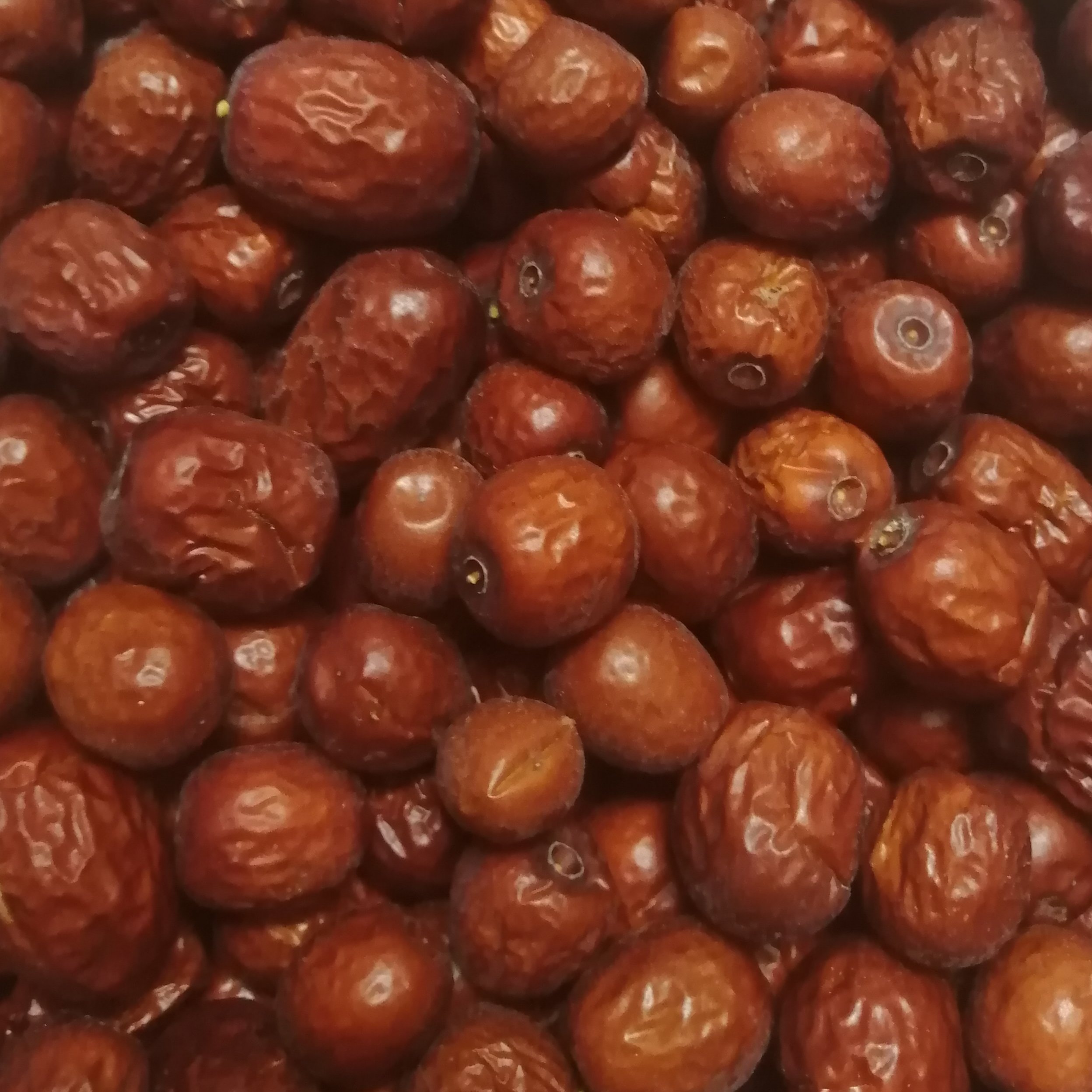 عناب بیرجند