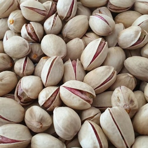پسته خام کله قوچی درجه یک با ضمانت کیفیت