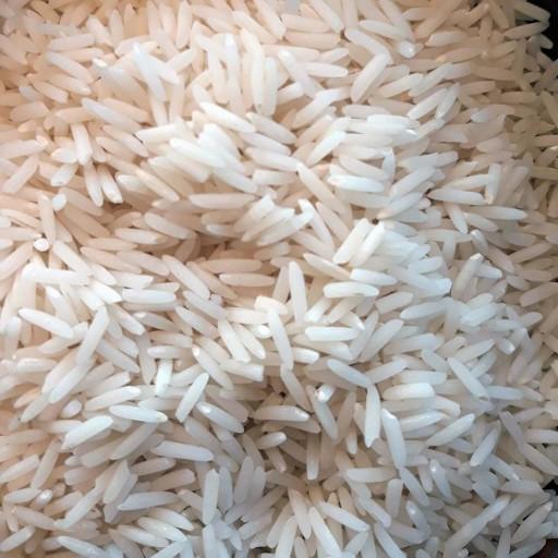 برنج دمسیاه گیلان