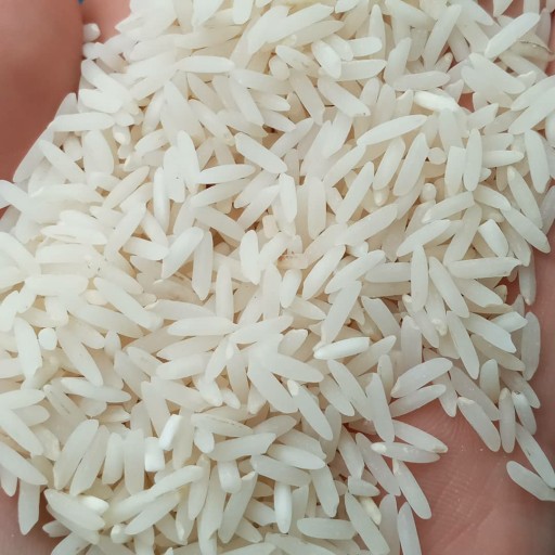 کیسه پنجاه کیلویی برنج هاشمی
