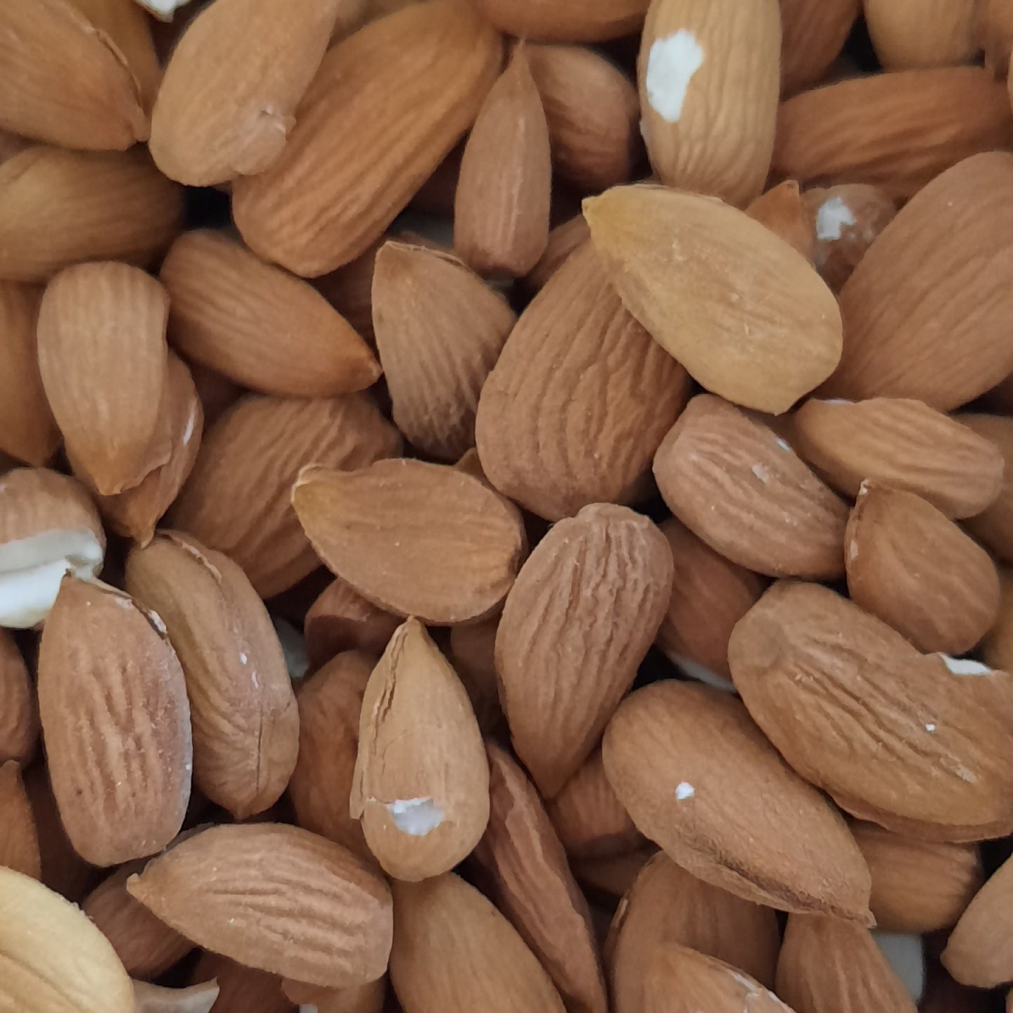 مغز بادام خام ایرانی وتازه آذربایجان شیرین 1000 گرمی با ارسال رایگان