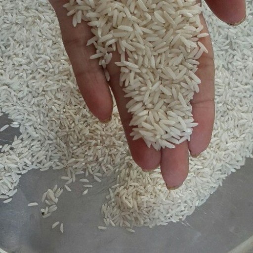 برنج درجه یک طارم