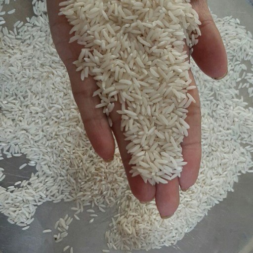 برنج درجه یک طارم