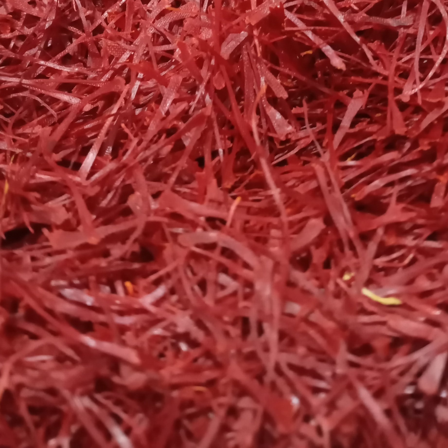 زعفران سوپر نگین یک مثقالی