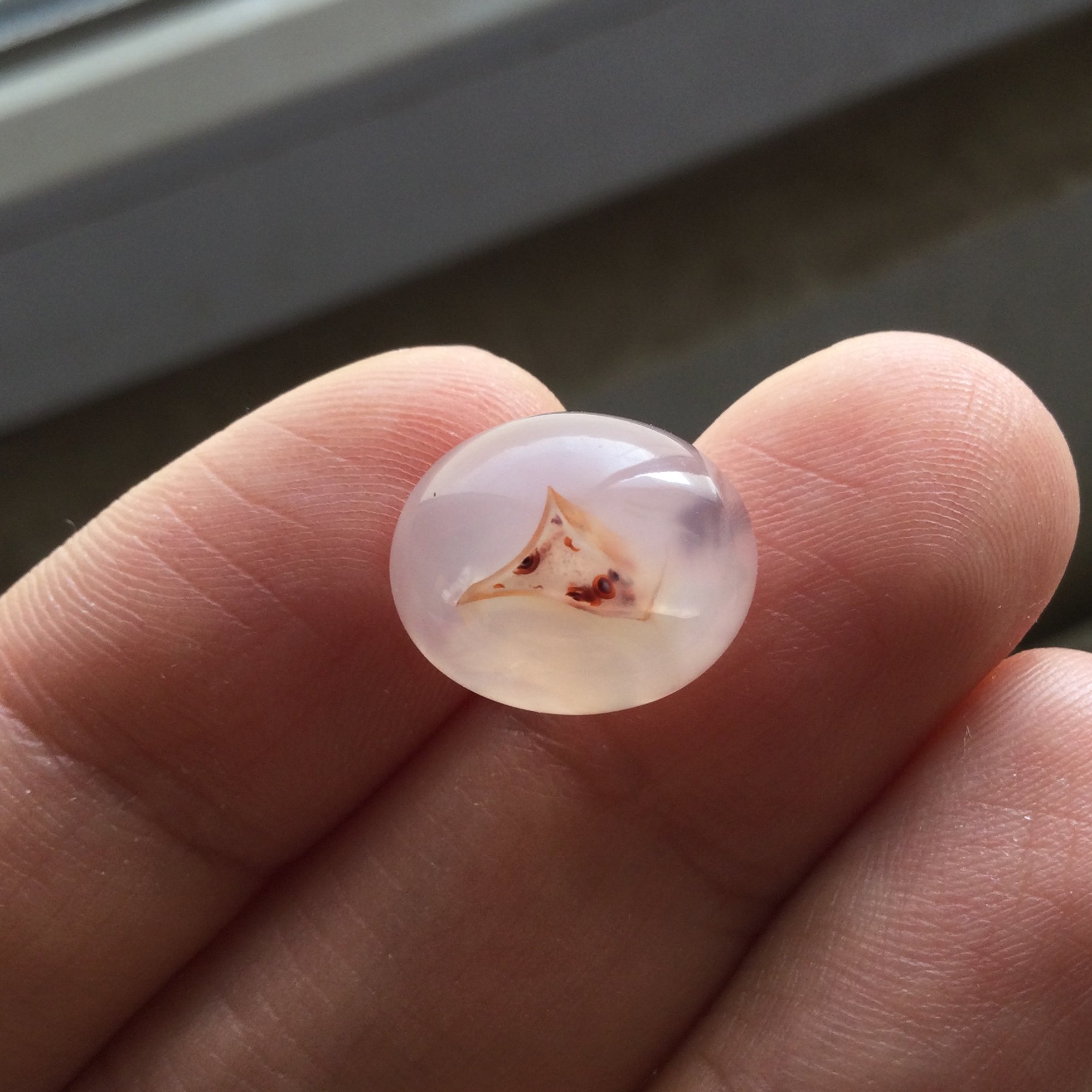 عقیق مصور به شکل سر عقاب