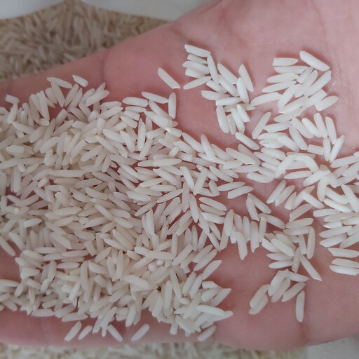 برنج شیرودی گیلان(خوشپخت)(پارساله)(5کیلویی)