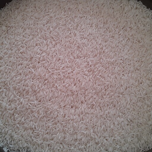 برنج آستانه اشرفیه 10 کیلویی