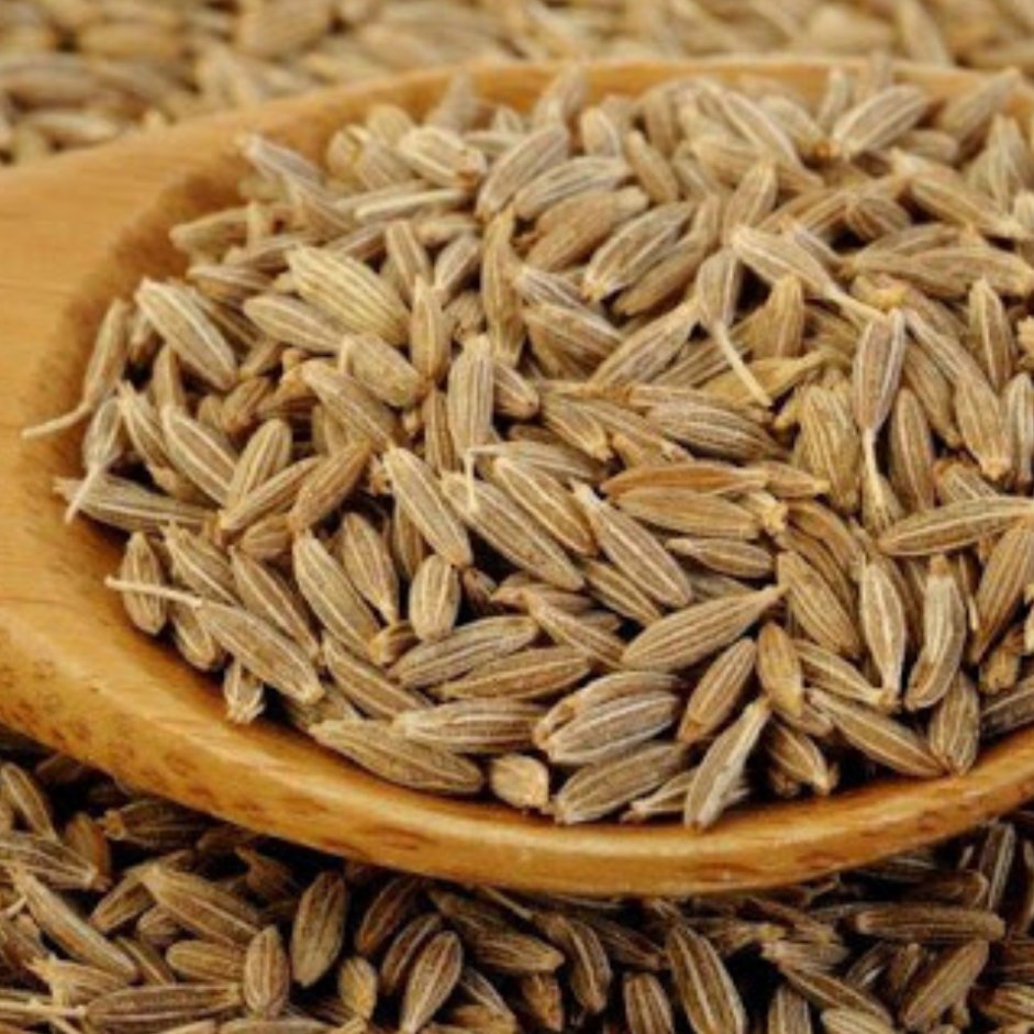 زیره سبز دیم
