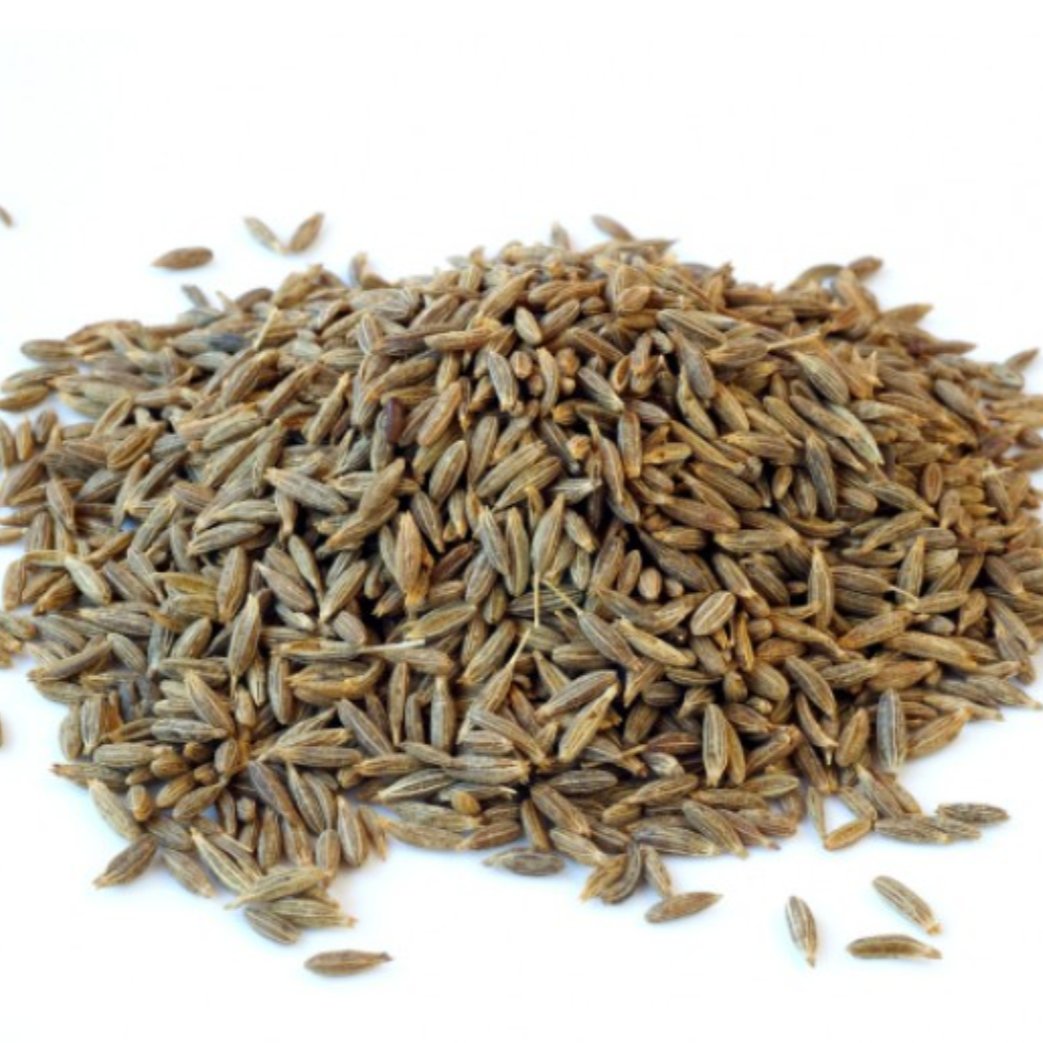 زیره سبز دیم