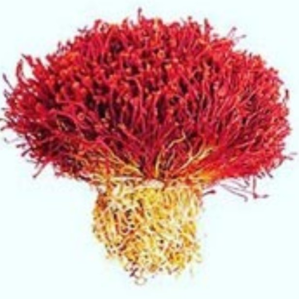 زعفران دسته ارگانیک سوغات گناباد