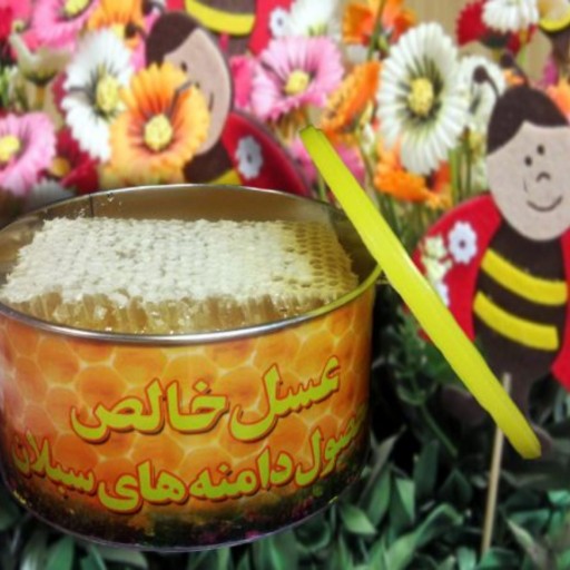 عسل طبیعی کوهستان مهرنوش موم دار نیم کیلویی محصولی از گونهای وحشی دامنه های سبلان منطقه سرعین ومشکین شهر