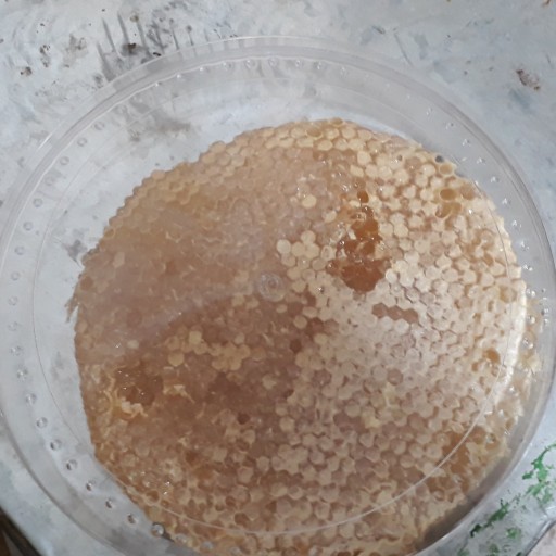 عسل شان چنبره طبیعی  وموم کاملا خودبافت   وزن یک کیلو