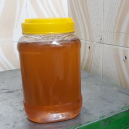 عسل  شهد معمولی  غالبا  گون وآویشن  به همراه تغذیه شکر تولید اززنبورستانمون بسته بندی  یک کیلویی باامکان مرجوعی