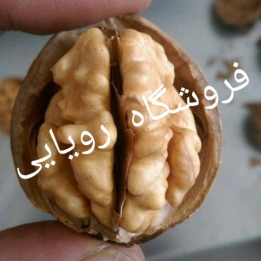 گردوی پوست کاغذی همدان درجه یک همدان