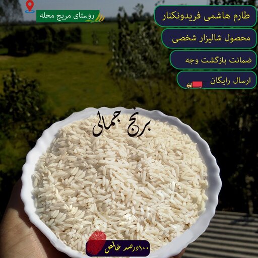 برنج طارم هاشمی شالیزار شخصی فریدون کنار 20kg تضمین بازگشت