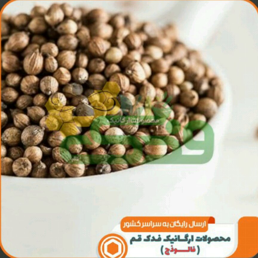 پودر تخم گشنیز اعلا فدک (1 کیلوگرم)