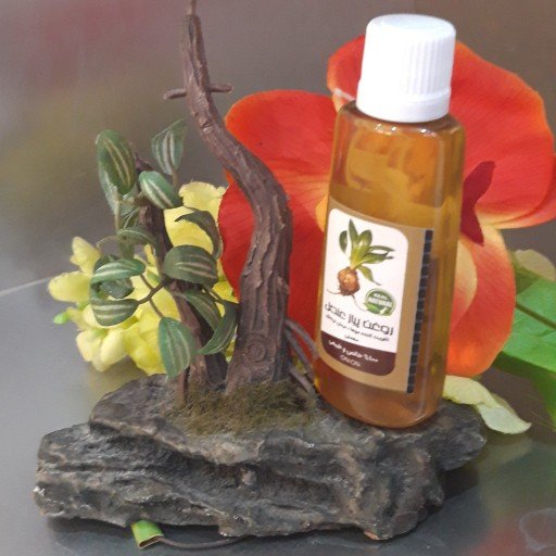 روغن پیاز عنصل 45 سی سی فدک (تقویت پیاز مو)