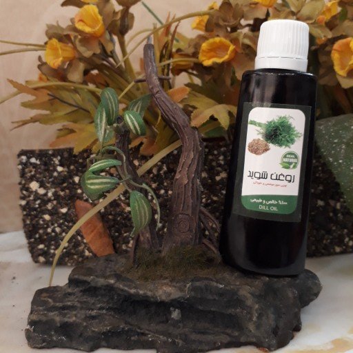 روغن شوید فدک (ماساژ، تنگی نفس)