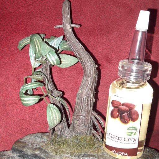 روغن جوجوبا فدک (درمان چین چروک، جوش، آکنه)